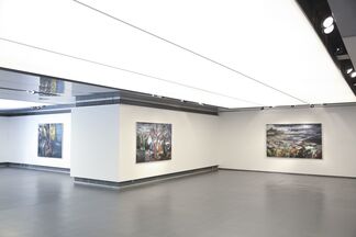 Distant Remains, installation view