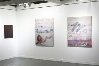 Anat Ebgi at Off(icielle) 2014, installation view