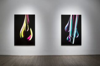 Keith Cottingham: Biology and Cosmology: Below the Visible, installation view