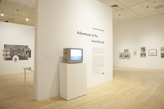 Jaime Davidovich: Adventures of the Avant-Garde, installation view