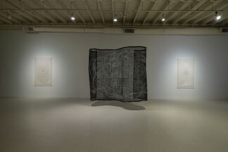 Dana Lynn Louis: Weave, installation view