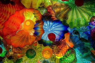 Chihuly: In the Gallery and In the Forest, installation view