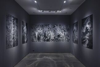 Karine Laval, installation view