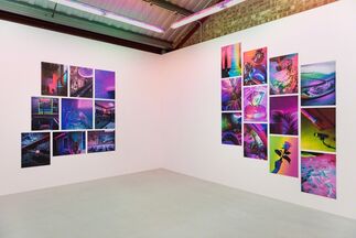 Signe Pierce 'Faux Realities', installation view