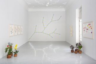 Spencer Finch | Botanica, installation view