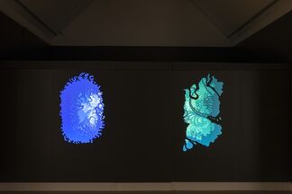 Andrea Dezsö: Dreamtime, installation view