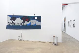 The Radiants, installation view