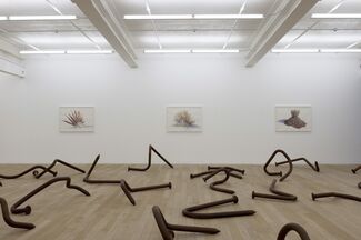 Galerie Peter Kilchmann at ARTBO 2014, installation view