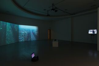 I can call this progress to halt, installation view