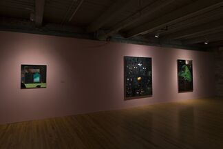 The Lure of the Dark: Contemporary Painters Conjure the Night, installation view