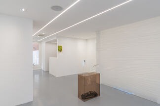 Four floating patches, secondary shoots, installation view