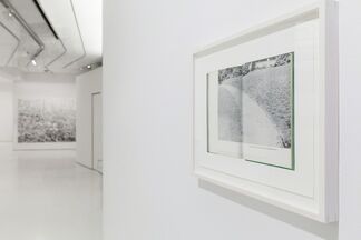A Great Piece of Turf, installation view