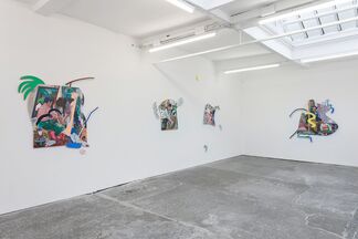 Project Native Informant at LISTE 2018, installation view
