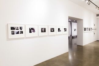 Michel Comte x Milk : A Collaboration 1996 - 2016, installation view