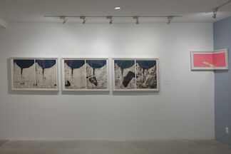 Allison Bianco: A Curious Tide, installation view