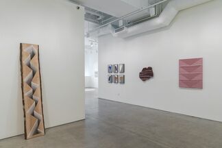 Delineation, installation view