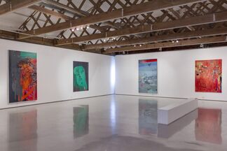 Clive van den Berg: Land Throws Up A Ghost, installation view