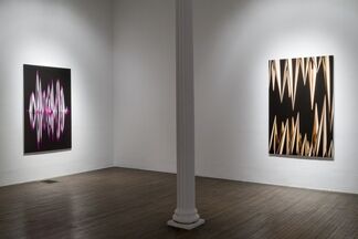 Keith Cottingham: Biology and Cosmology: Below the Visible, installation view