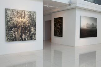 Jaco van Schalkwyk: Eden, installation view