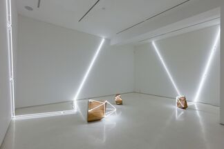 Arboreal, installation view