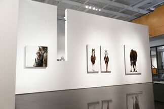 Kevin Sonmor, installation view