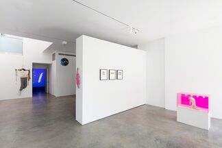 Shapeshifters: curated by Tim Goossens, installation view