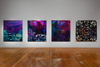 Dale Frank, installation view