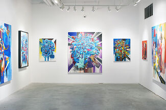 Doze Green, Out of Knowhere, installation view