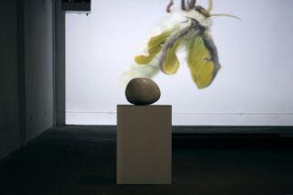 PONY COCOON, installation view