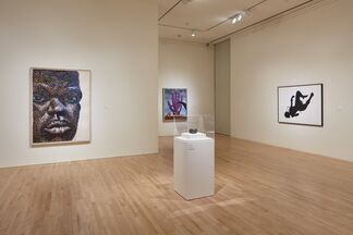 Rise Up! Social Justice in Art from the Collection of J. Michael Bewley, installation view