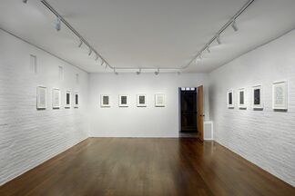 Ding Yi, installation view