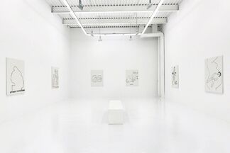 JIM JOE "WHAT DOES IT MEAN AND HOW DID YOU CHOOSE IT", installation view
