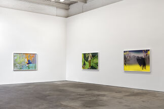 James Welling: Choreograph, installation view