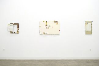 Jennifer Wynne Reeves: A Bolt of Soul: Grooved Foreheads and Dog Teeth, installation view