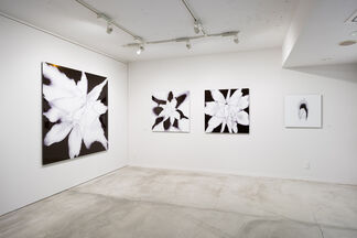 Chihiro Kabata - Following the Shadow, installation view