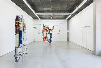 CAMILLA STEINUM - Dubious Desire for Cleanliness, installation view