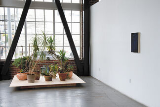 Shaun O'Dell: Doubled, installation view