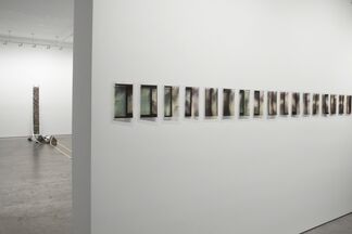 Penelope Umbrico: Silvery Light, installation view