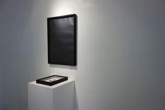 Solo Exhibition by Éi Kaneko, installation view