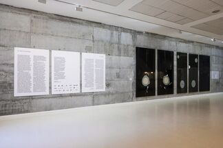 Talia Sidi: Five Works, installation view