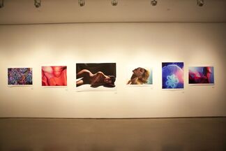Natural Beauty, installation view