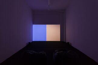 Steve Bishop: Seeing is forgetting what you’re looking at or what it’s called or something., installation view