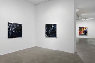 a dream of, installation view