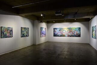 Framed Superiority, installation view