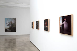 Fully Automatic, installation view