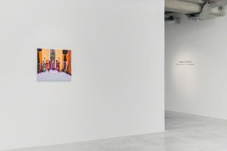 What we do in the shadows, installation view