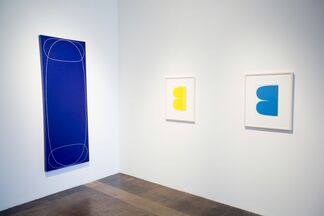 Blue Yellow Red, installation view