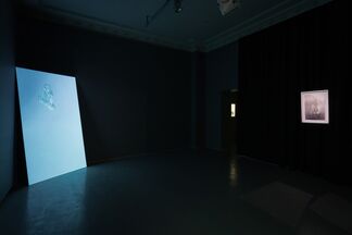Body and Darkness, installation view