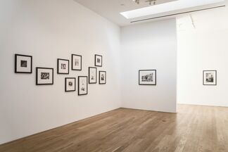 MARTIN MULL | STATE OF THE UNION, installation view