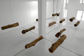 Roberto Pugliese - "Concerto per Natura Morta", installation view